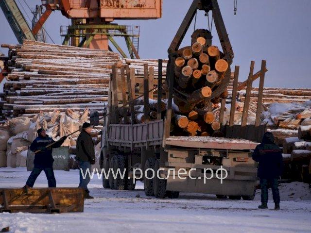 Какие санкции  были введены , и   только 50% лесопромышленных компаний, которые пострадали сильнее других из-за западных санкций, поменяли стратегию развития